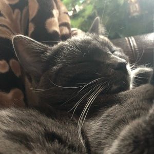 Meet your Posher, Heidi